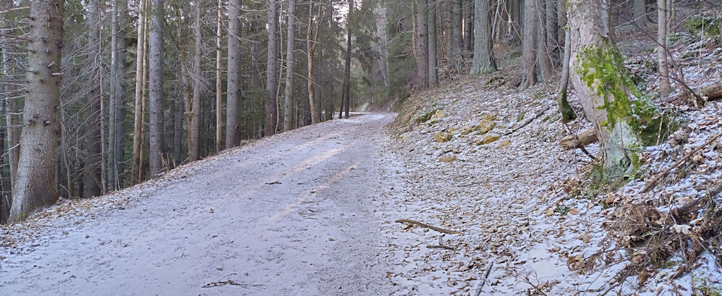 Forststraße