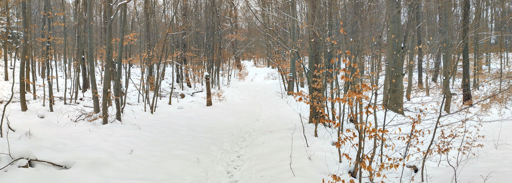 Wanderweg