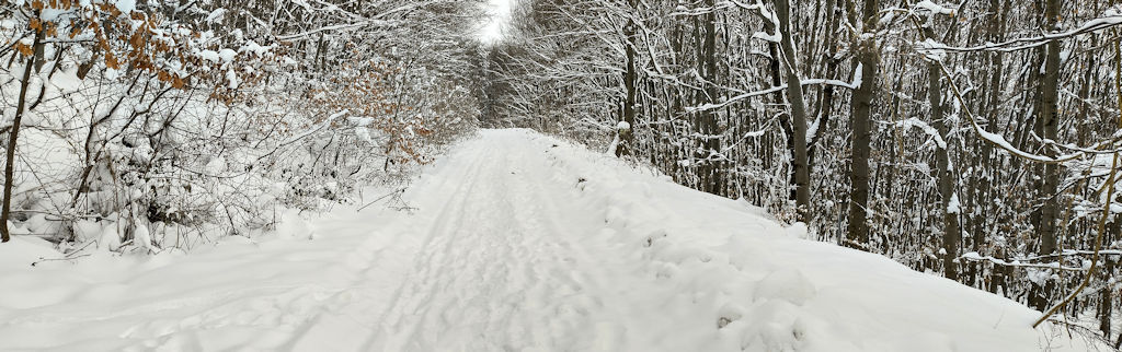 Forstweg