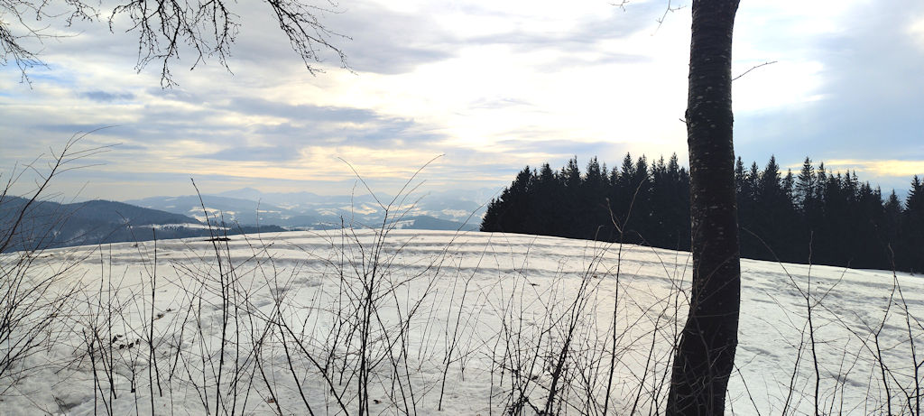 Aussicht 