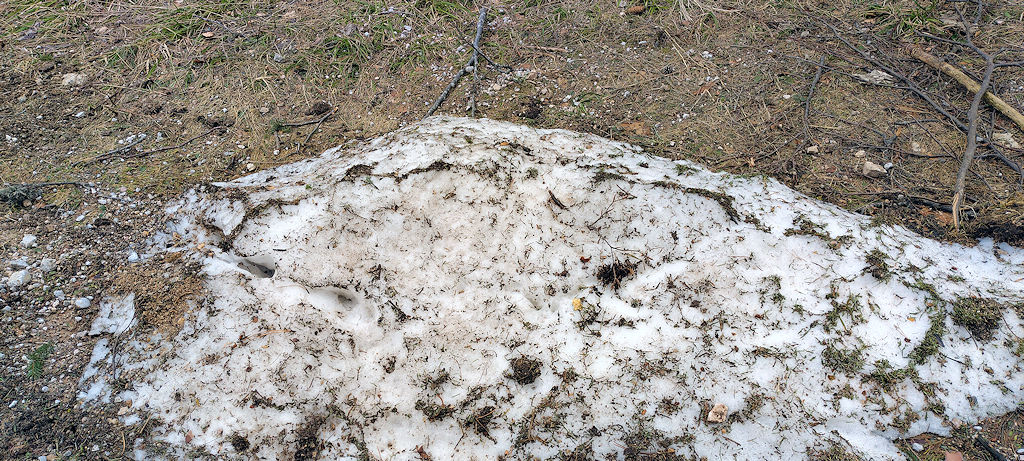 Schnee