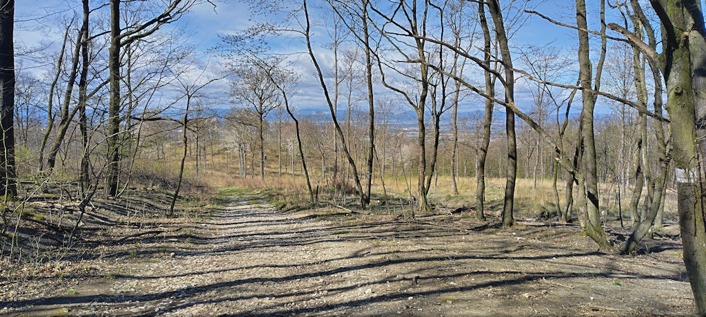 Weg