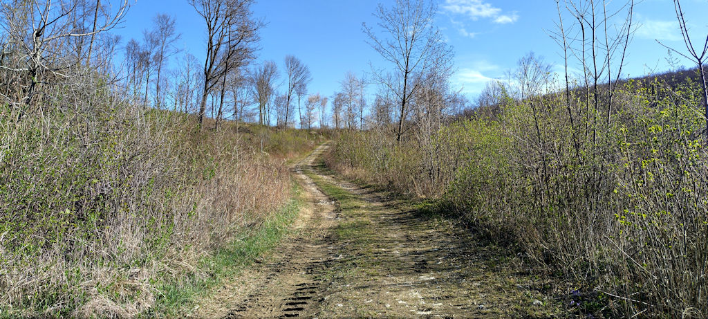 Forstweg