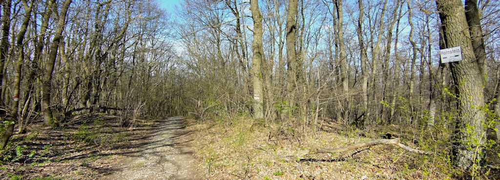 Forstweg