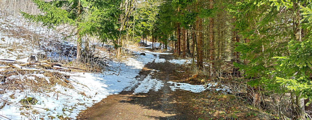Forstweg