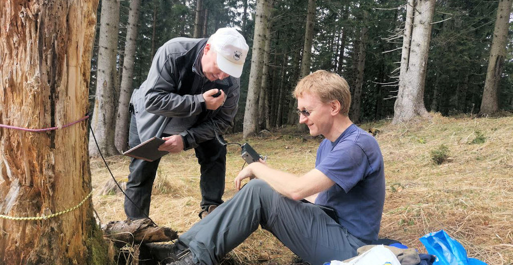 Speisepunkt