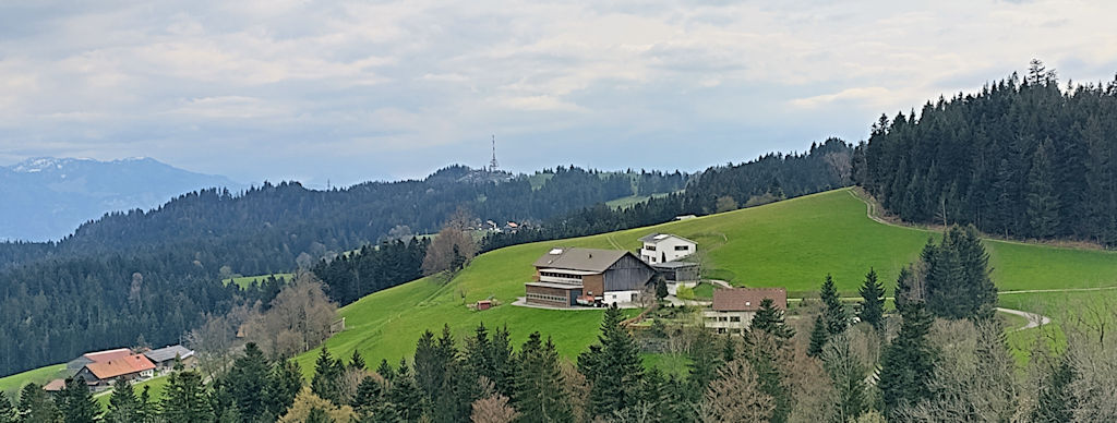 Pfänder