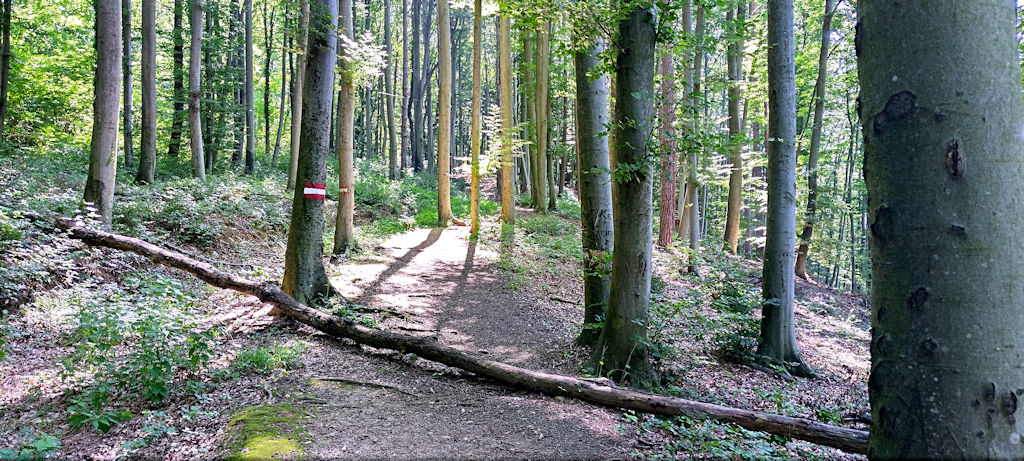 Güterweg