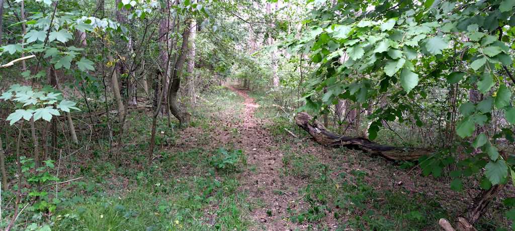 Wanderweg