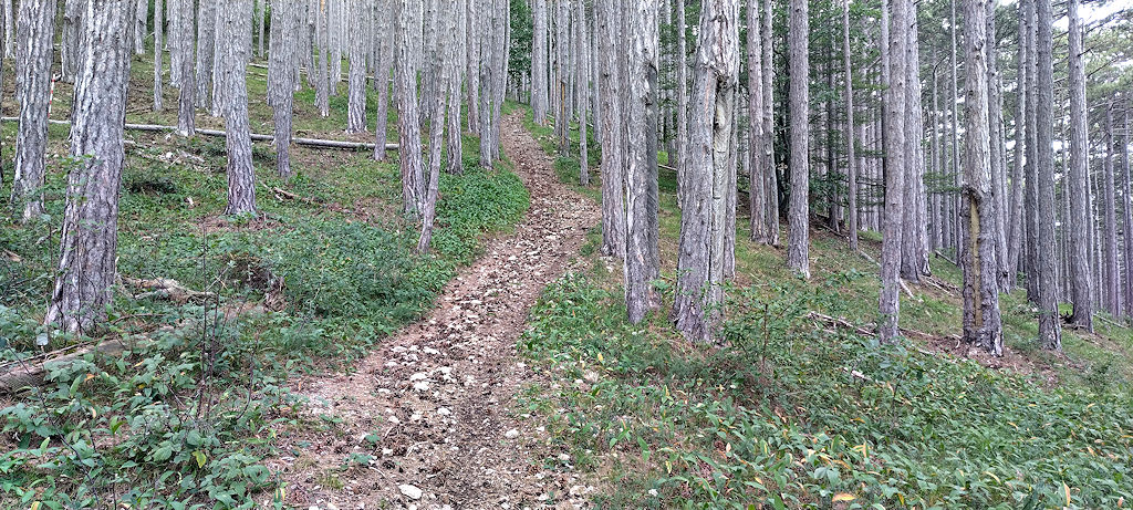 Wanderweg