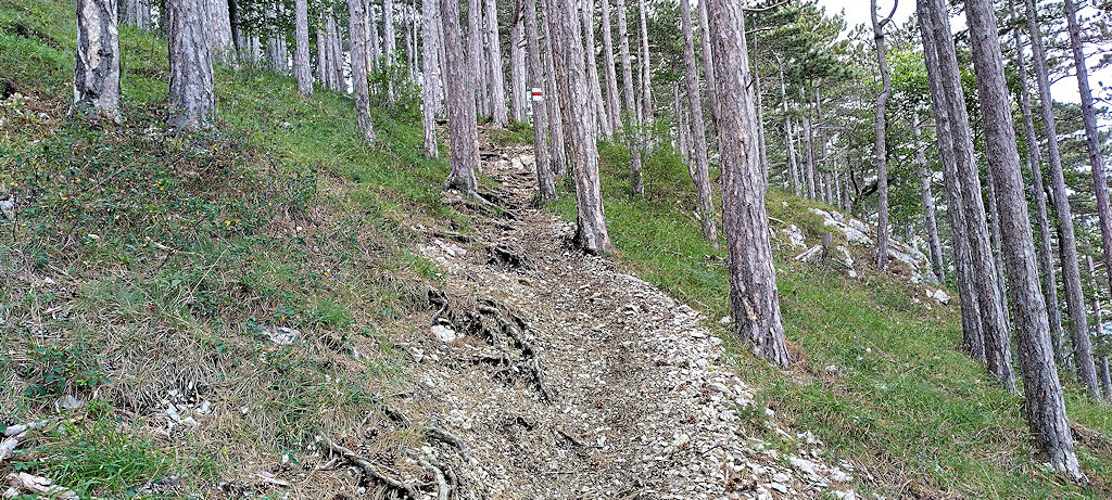 Wanderweg