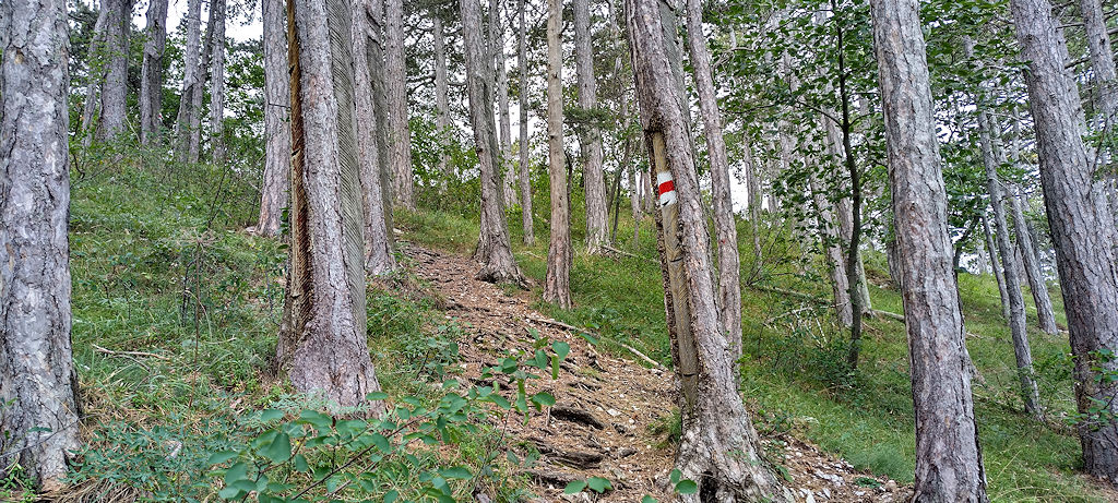 Wanderweg