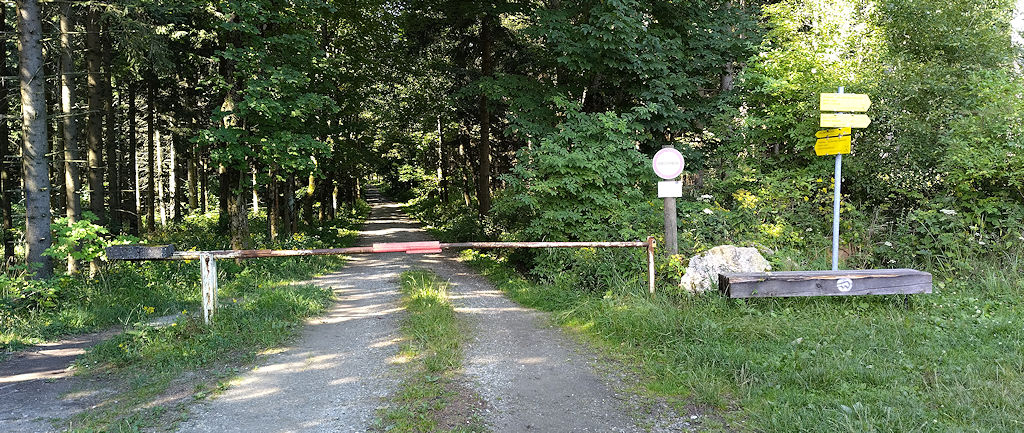 Waldweg