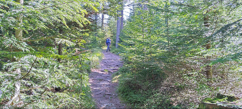 Weg