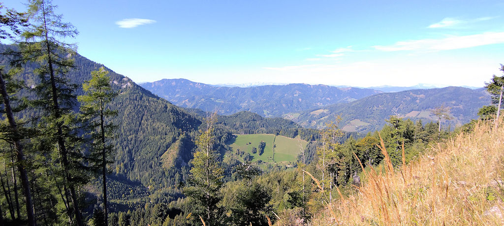 Ausblick