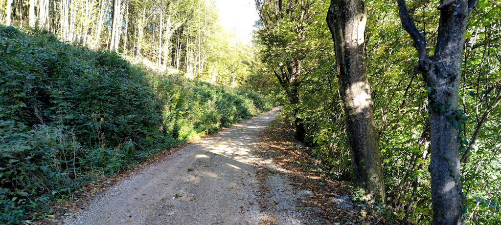 Forststraße