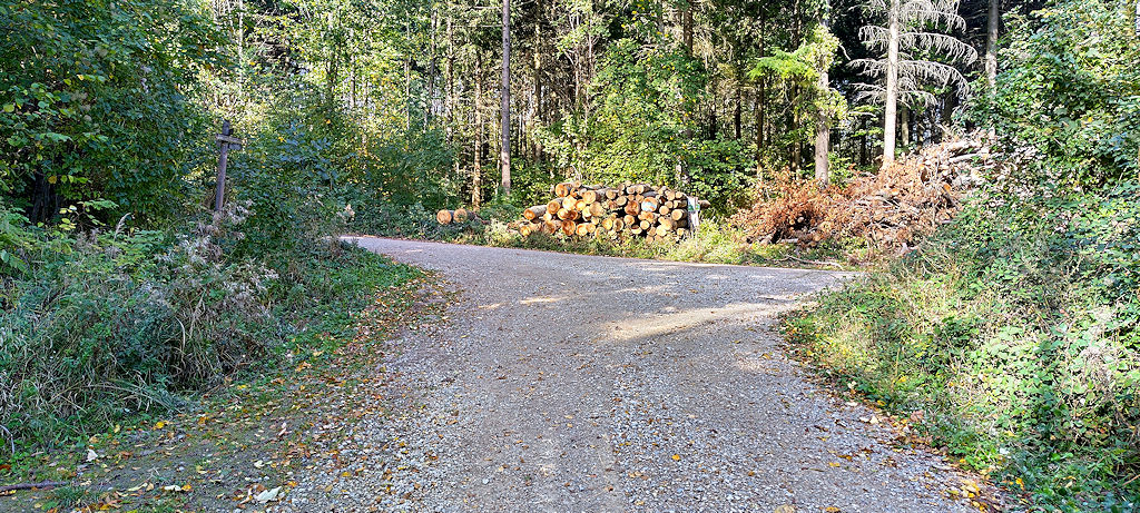 Forststraße