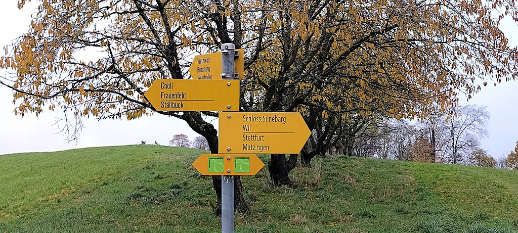 Wegweiser