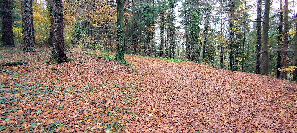 Forststraße