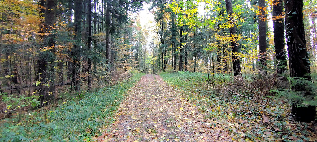 Forststraße