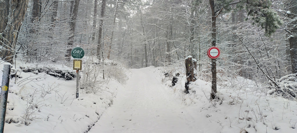 Schild