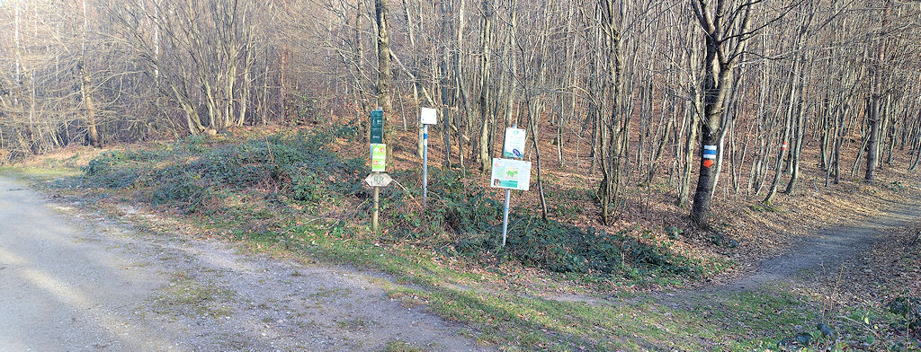 Abzweigung