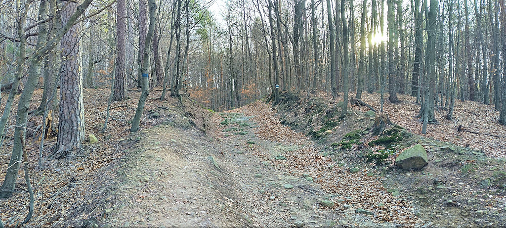Weg