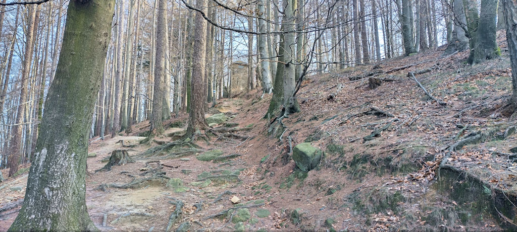Weg