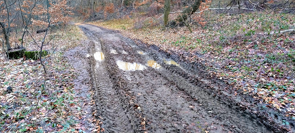 Forstweg