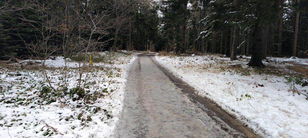 Forstweg
