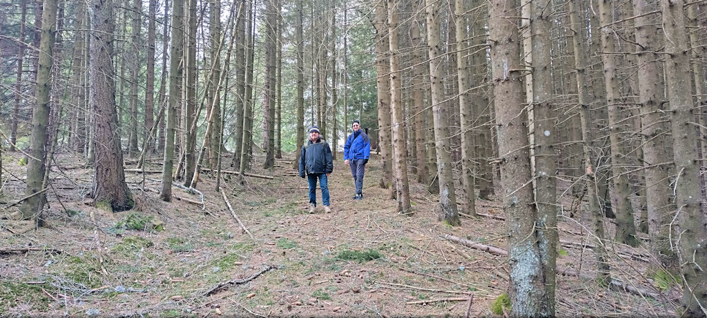 Waldweg