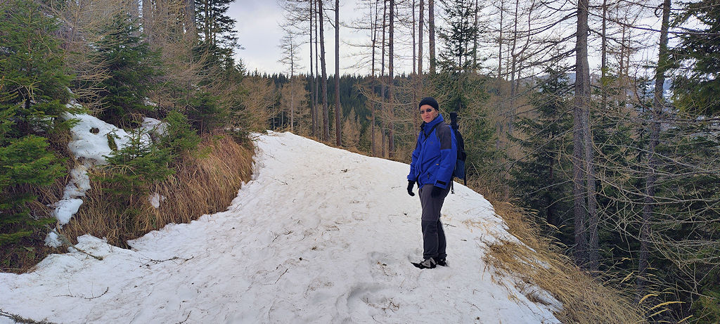Waldweg
