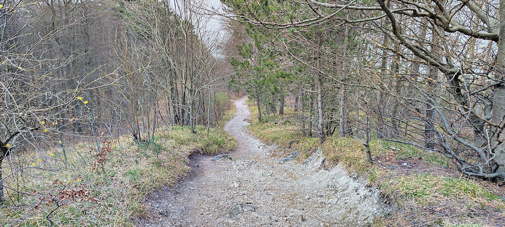 Weg
