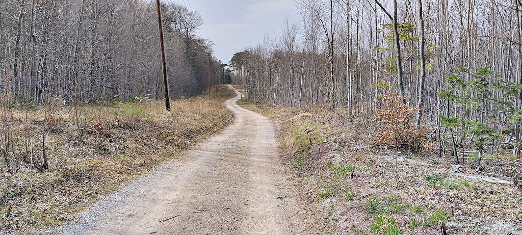 Forststraße