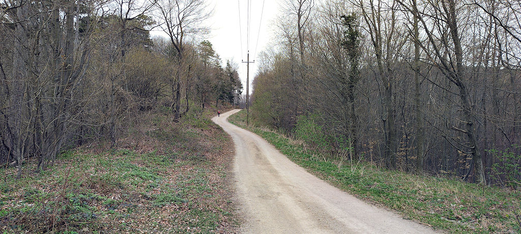 Forststraße