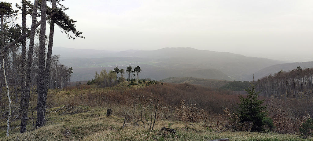 Schwechatbach