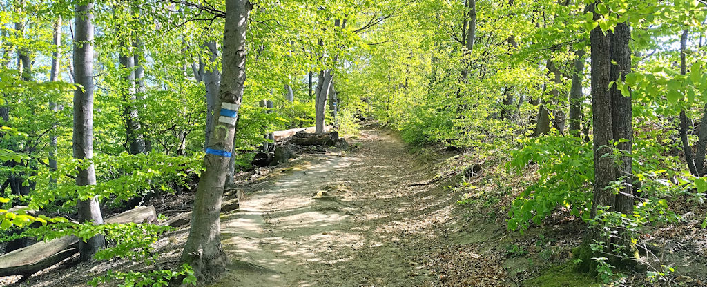 Wanderweg