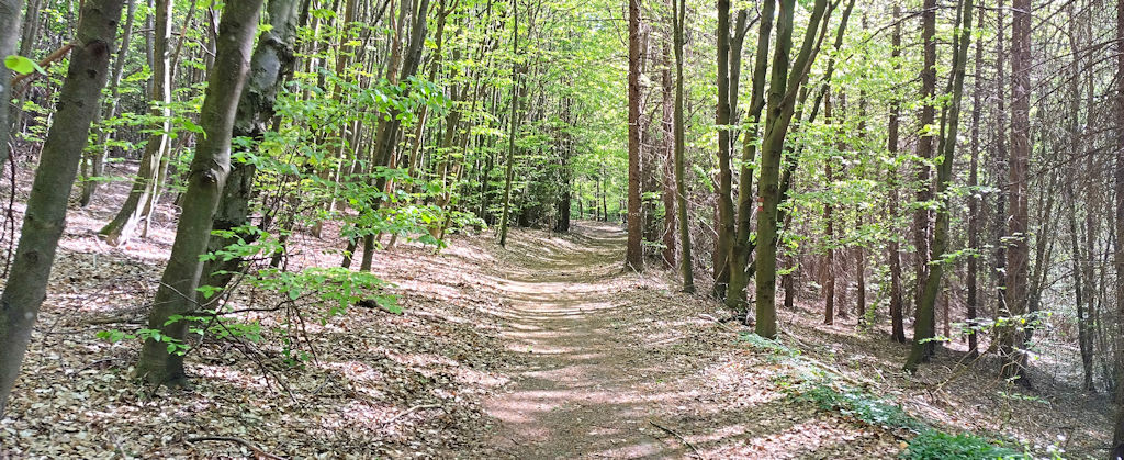 Weg