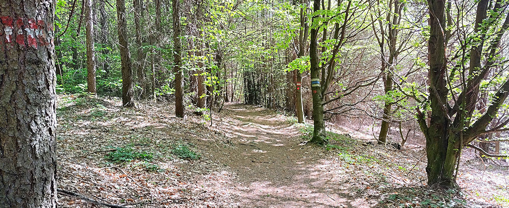 Wanderweg