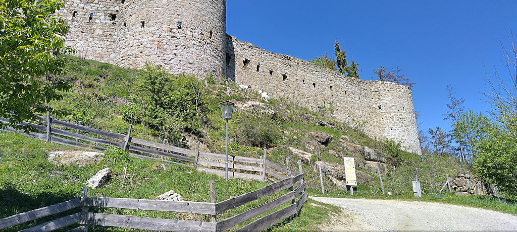 Burg