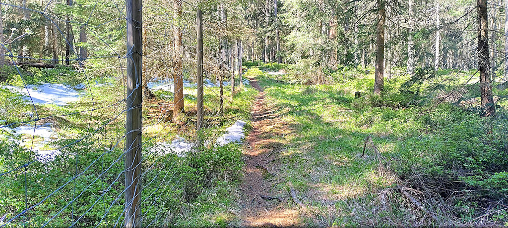 Weg