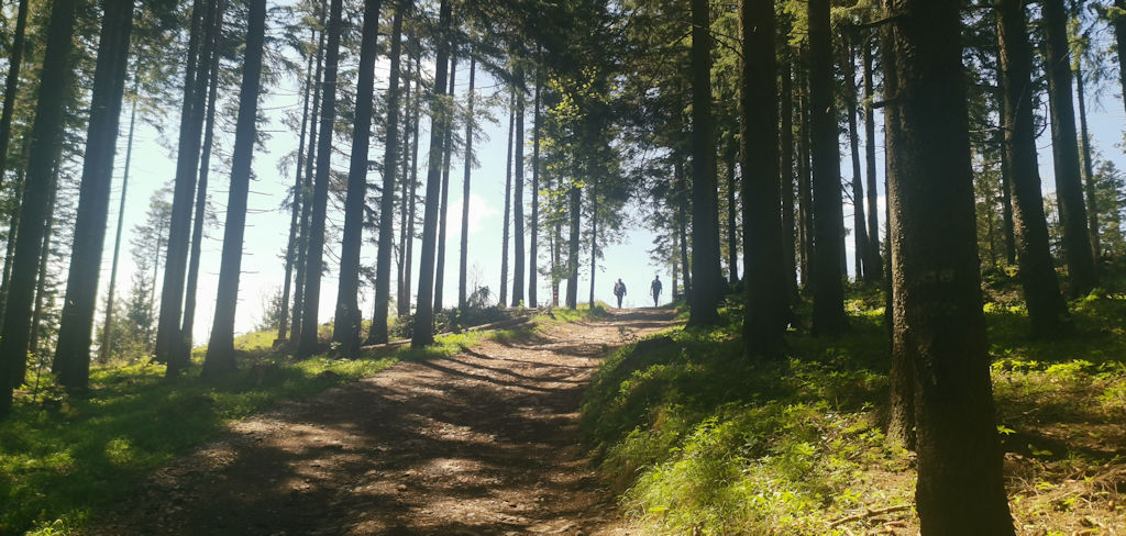 Wanderweg