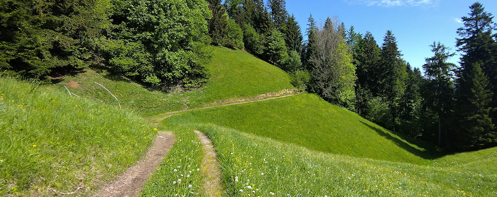 Feldweg