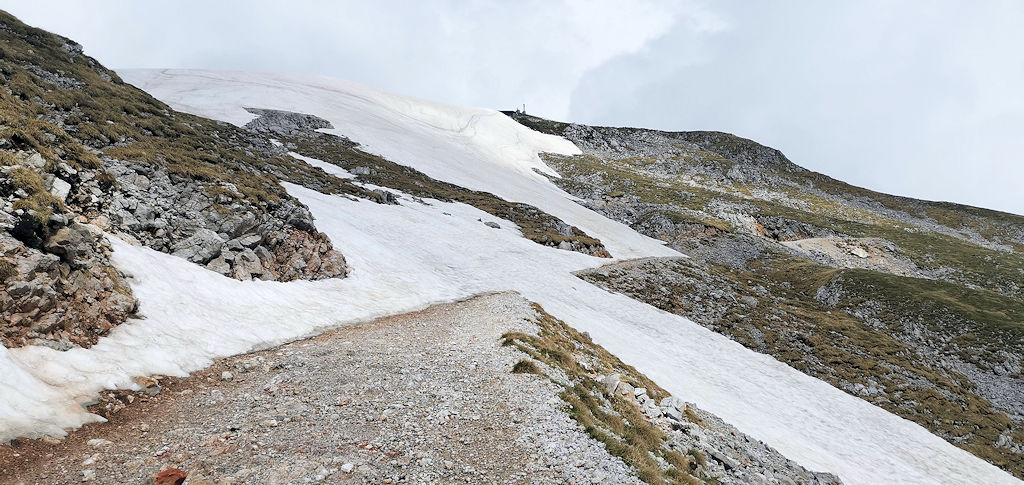 Schneefelder