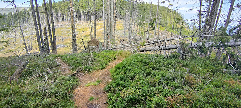 Wanderweg