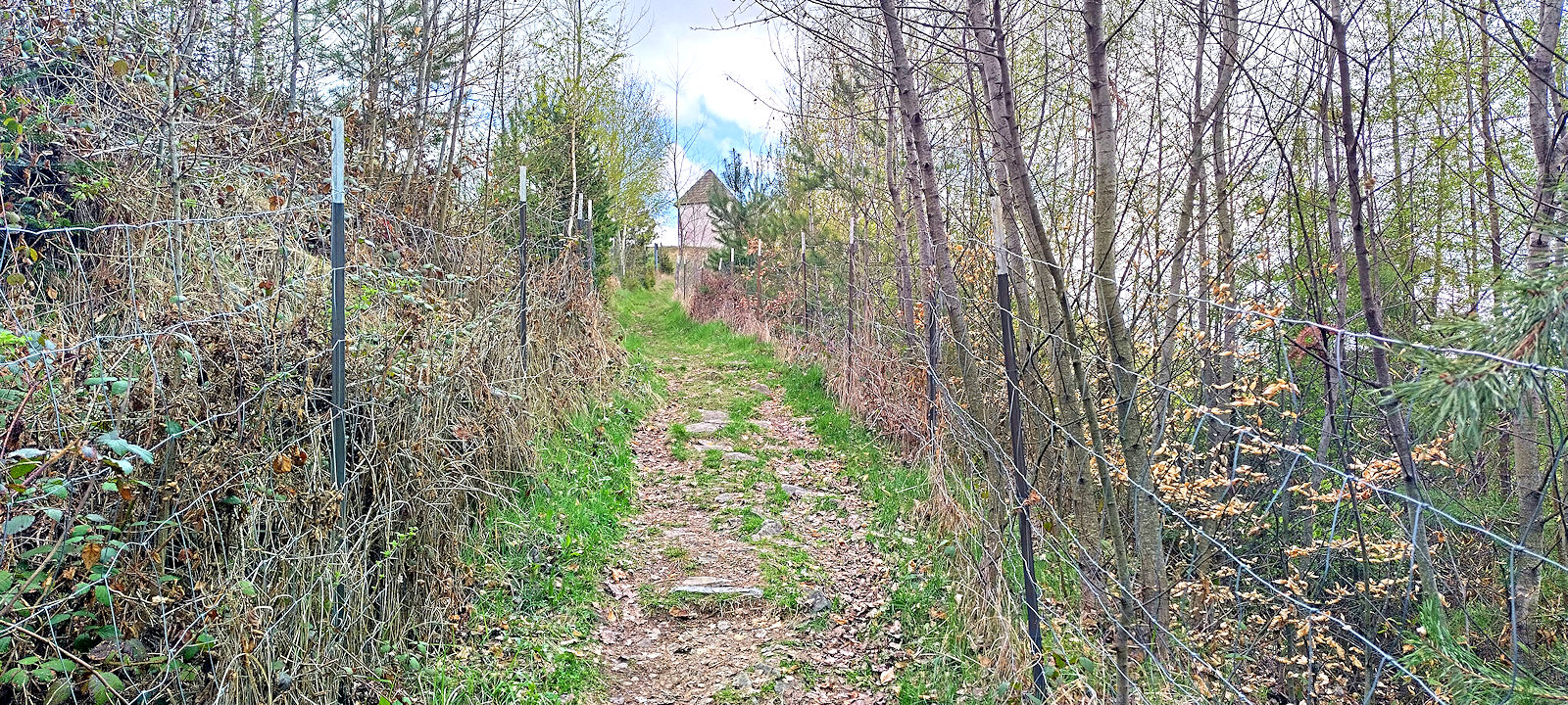 Wanderweg