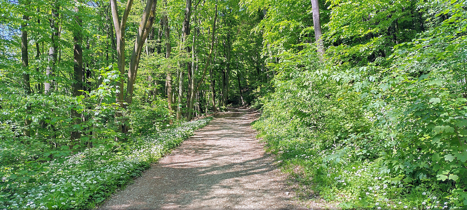 Wanderweg