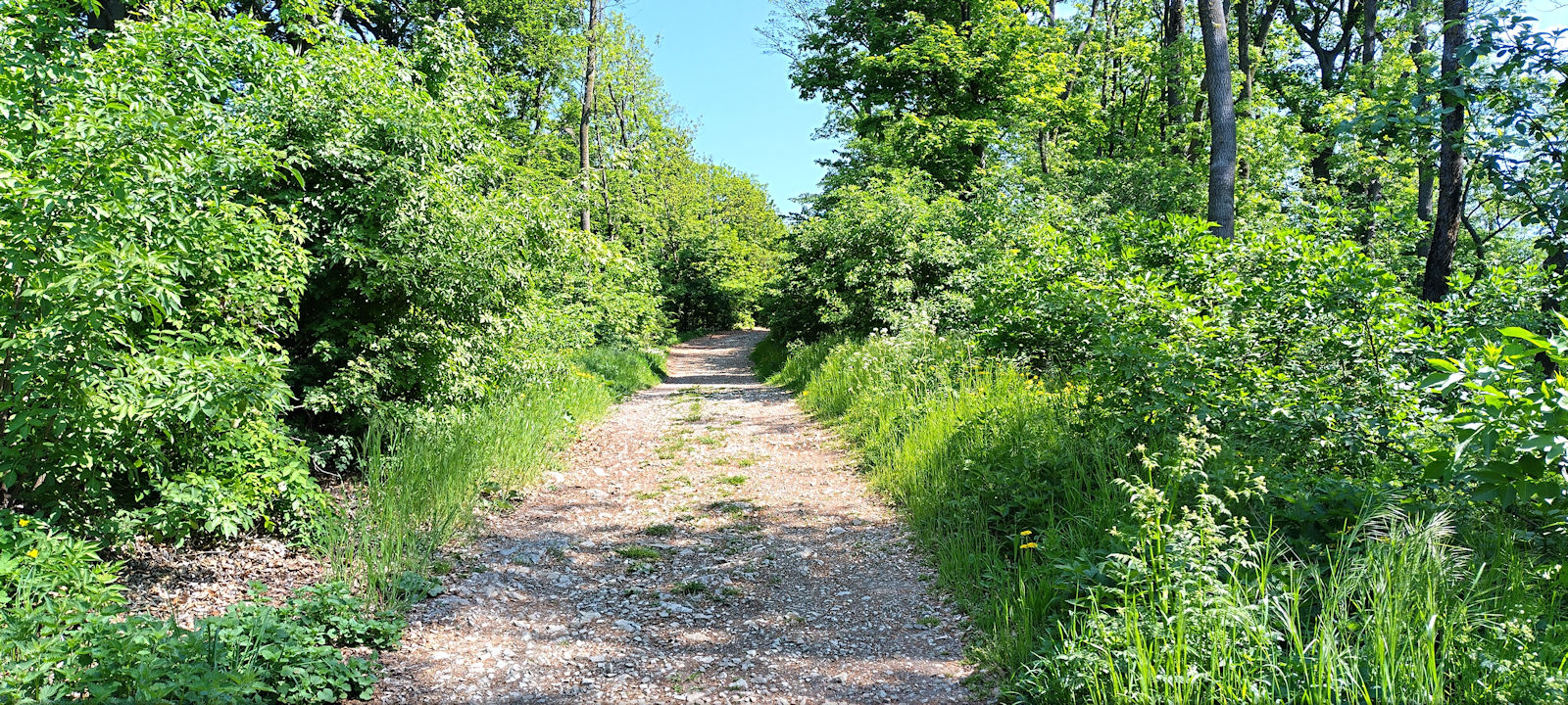 Wanderweg