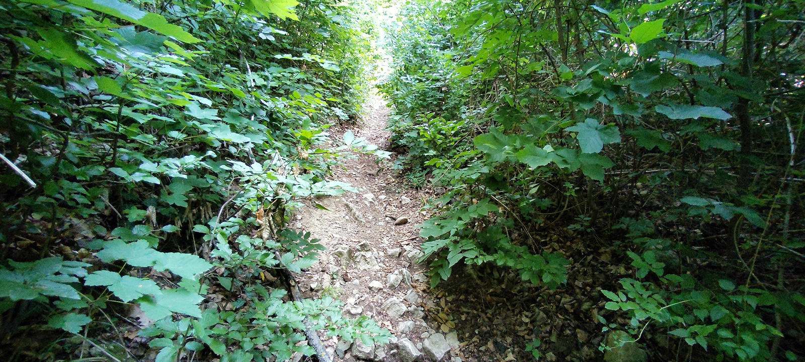 Wanderweg