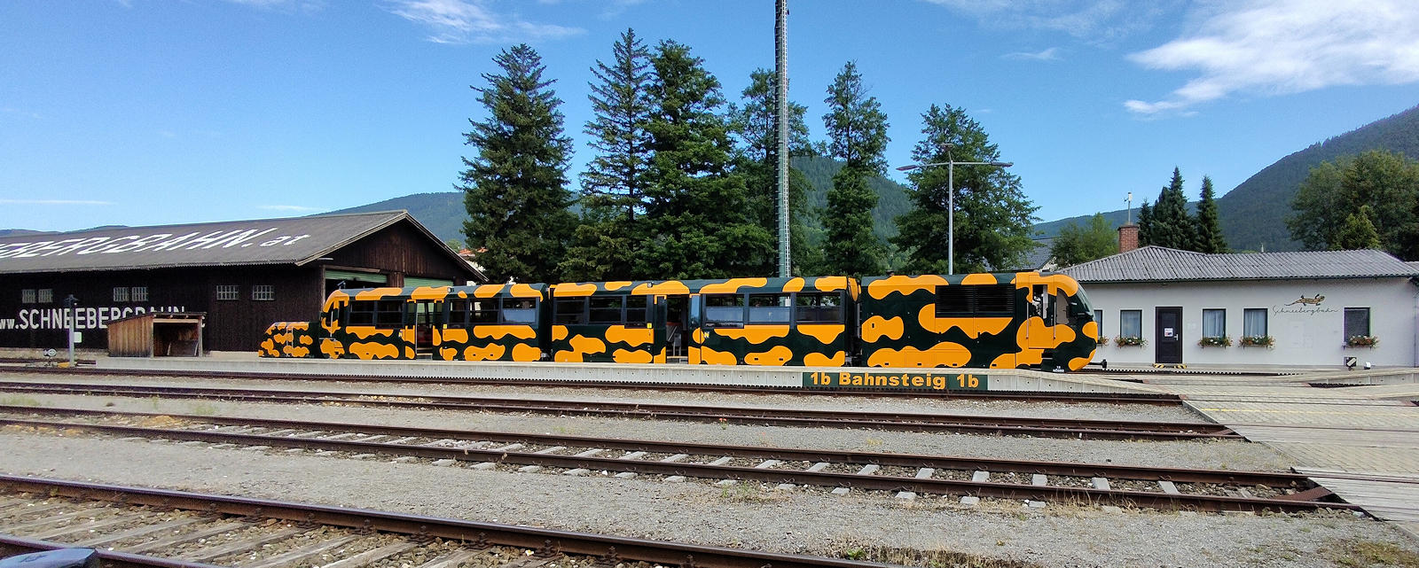 Salamander